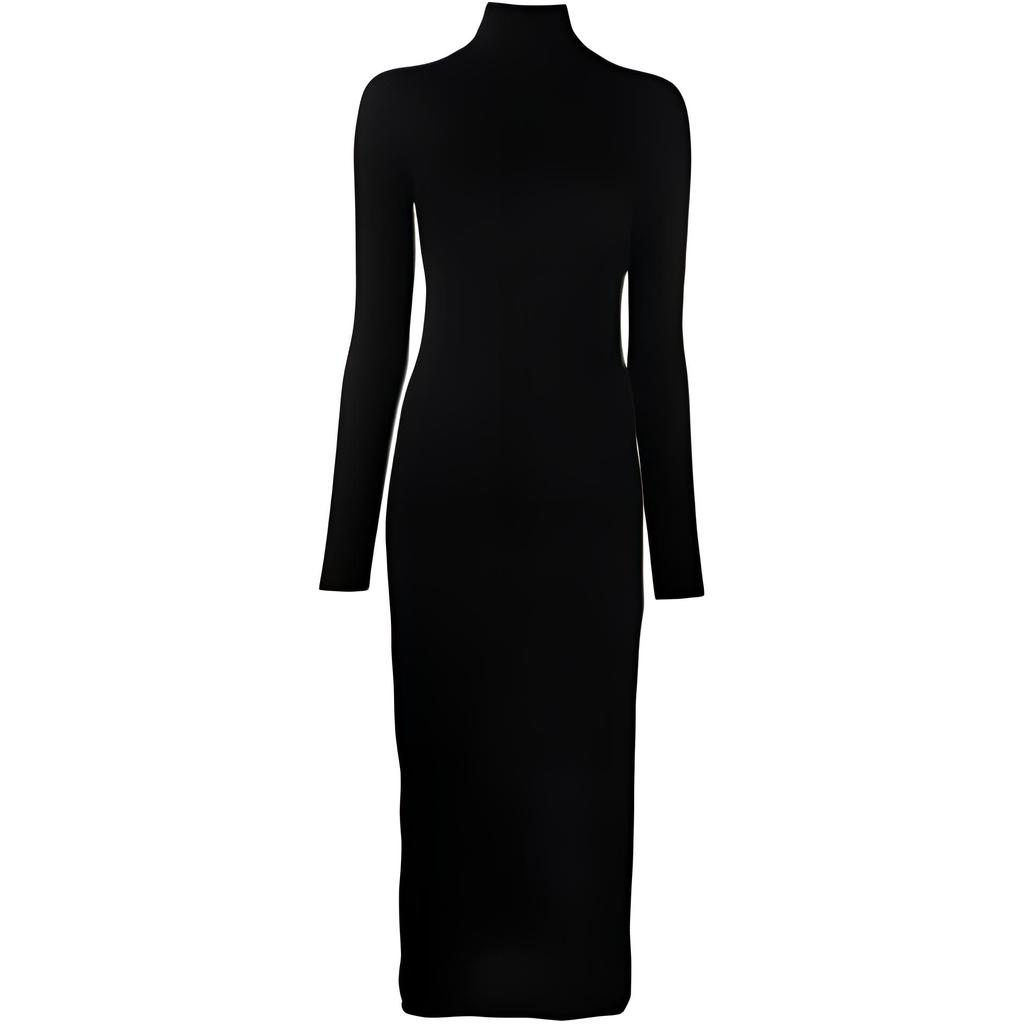 Polo Ralph Lauren Solid Knit Turtleneck Long Sleeve Dress Women Dresses Black 211763521-001
