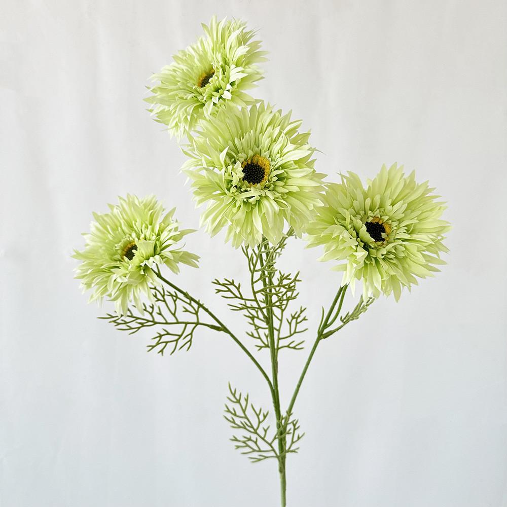 African Gerbera Jamesonii Bolus Wedding Decor For Home And Event Use