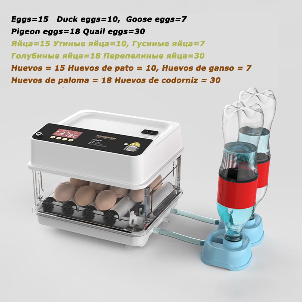 10/15/30 Eggs New Incubator Fully Automatic Water Replenishment Thermoregulator Hatcher Machine Multifunctional Dual Electric Supply Egg Hatcher