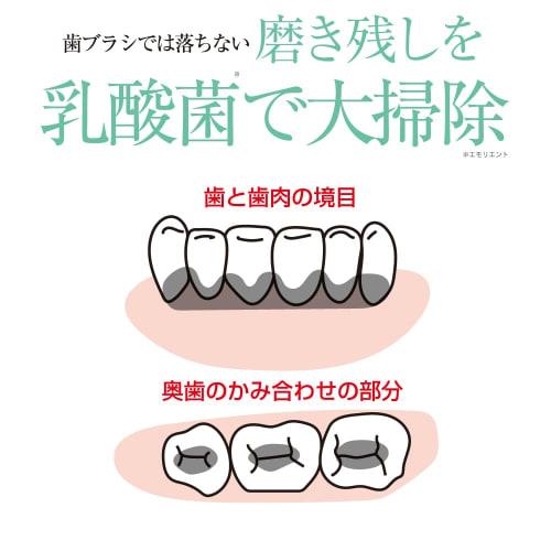 Black Paint [Oral Care] Lactobacillus Reuteri Toothpaste 30g, Prevents Bad Breath and Tartar, Low Foam, Fluoride-Free, Refreshing Mint Flavor, Chemica