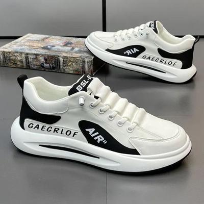 Men's Shoes New Youth Trendy Sports Shoes Spring Low Top Sneakers Casual Korean Style Forrest Gump Shoes