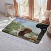 Video D Demo Floor Mat Eco  Flannel Doormat Non Slip Odorless Indoor Floor Rug Soft Short Plush Home Mat