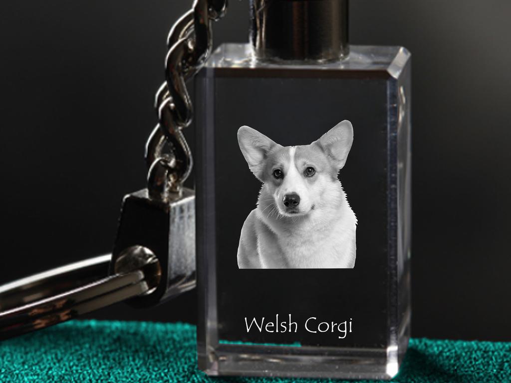Pembroke Welsh Corgi - Crystal Key Ring with Dog Photo, Illuminated Key Ring, Unique Gift by Art-Dog Brand