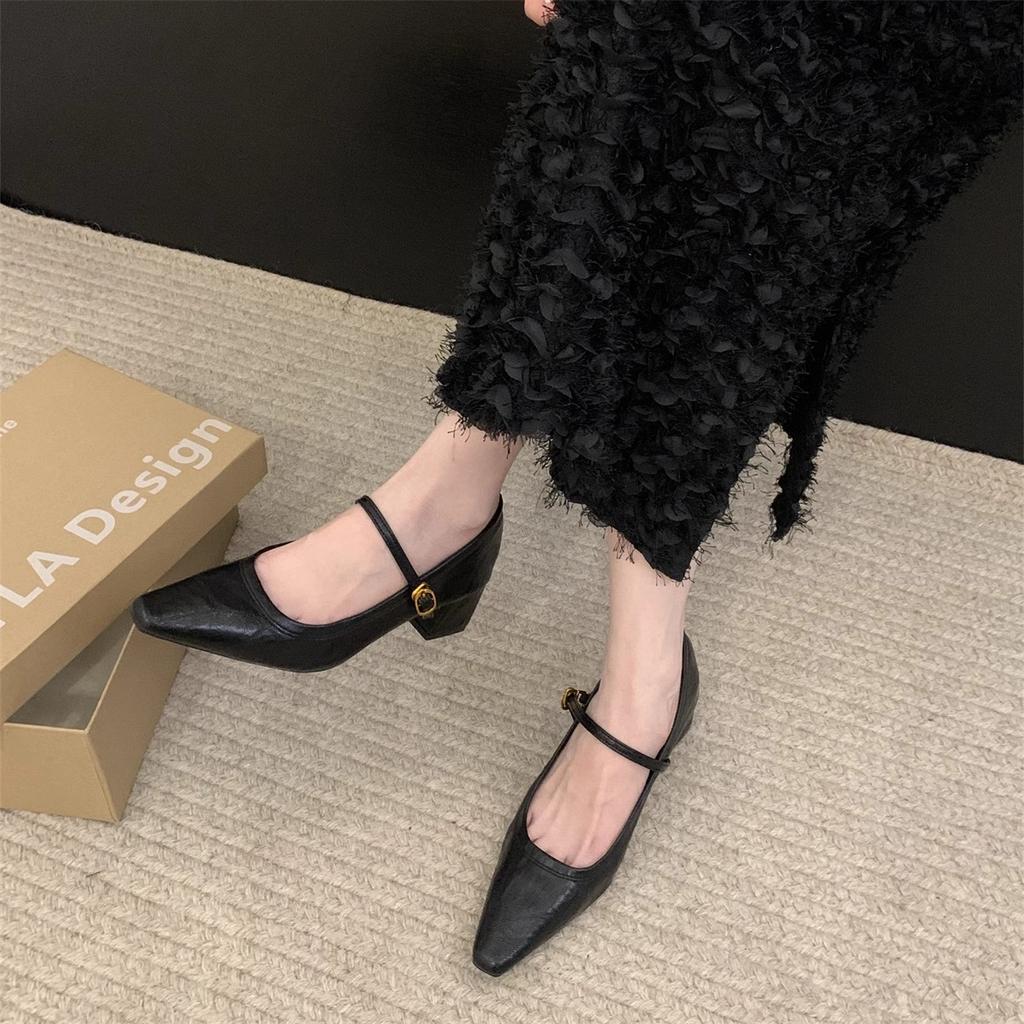 High-Heeled Mary Jane Shoes Pointed-Toed Shallow Mouth Spring Thick Heel French With Skirt Temperament Single Shoes Women'S Shoes