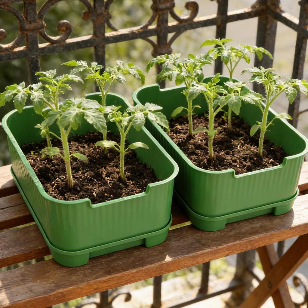 1/2/3x Seed Sprouter Tray with Cover Sprout Dish Growing Pot Seed Germination Tray Soilless Cultivation Germination Nursery Tray