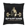 Fashion Sparta Skull Spartan Helmet Throw Pillow Cover Home Decor Custom Square Cushion Cover 40X40Cm Pillowcover For Sofa