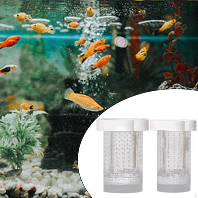 Ερπετά – Τεράριουμ για ερπετά