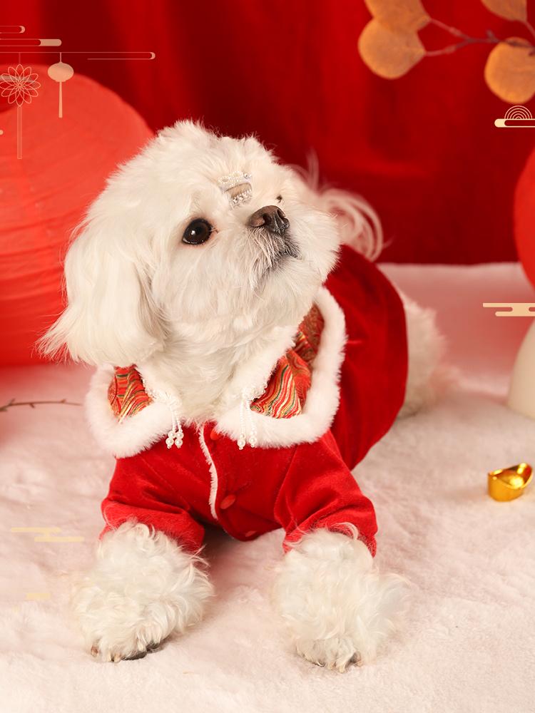 Festive Winter Cat & Dog Outfit: Warm Kitten Skirt for Autumn & New Year