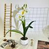 Faberi Cymbidium Rolfe Artificial Flowers For Outdoor Photography Decor Party