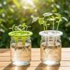 20PCS Breathable Colonization Cup Plastic Hydroponic Basket Planting Mesh Pots Hydroponic Systems