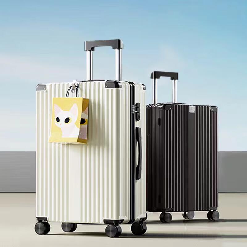 Ruyishi Portable Trolley Luggage 22 inch