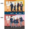 Haikyuu Movie: Battle At the Dump Clear File Set of 2, Theater Exclusive, Official Merchandise