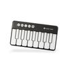 Learning Music Mini Electric Keyboard Early Education Electronic Musical Toys  Preschool
