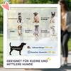 Dog Trolley incl. Cushion, 3 Side Pockets, Foldable, Dog Stroller, 102 cm x 62 cm x 105 cm, Grey