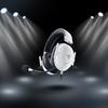 Razer BlackShark V2 Wired Gaming Headset