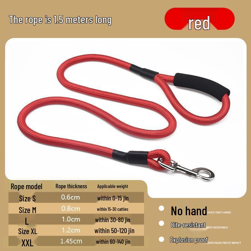 Pet Dog Leash for Small Breeds - Bichon, Teddy, Medium & Large Sizes