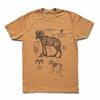 Desert Bighorn Sheep Anatomy Tshirt, Bighorn Biology Shirt, Bighorn Diagram Screen Print, Nevada State Animal Shirt, Ram Biology Shirt