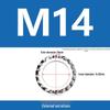 304 Stainless Steel Serrated Lock Washer with Anti-slip Teeth.