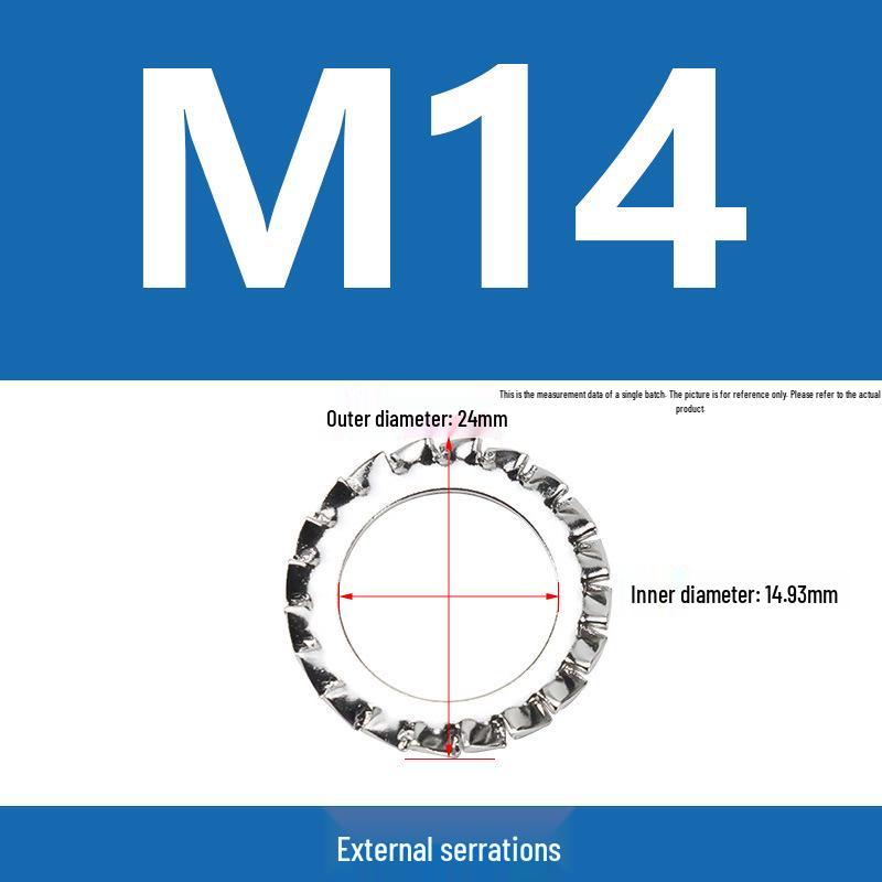 304 Stainless Steel Serrated Lock Washer with Anti-slip Teeth.