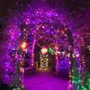 Thrisdar 20M 50M 100M Orange and Purple Halloween String Lights Outdoor Halloween Fairy Lights Garland For Garden Patio Decor
