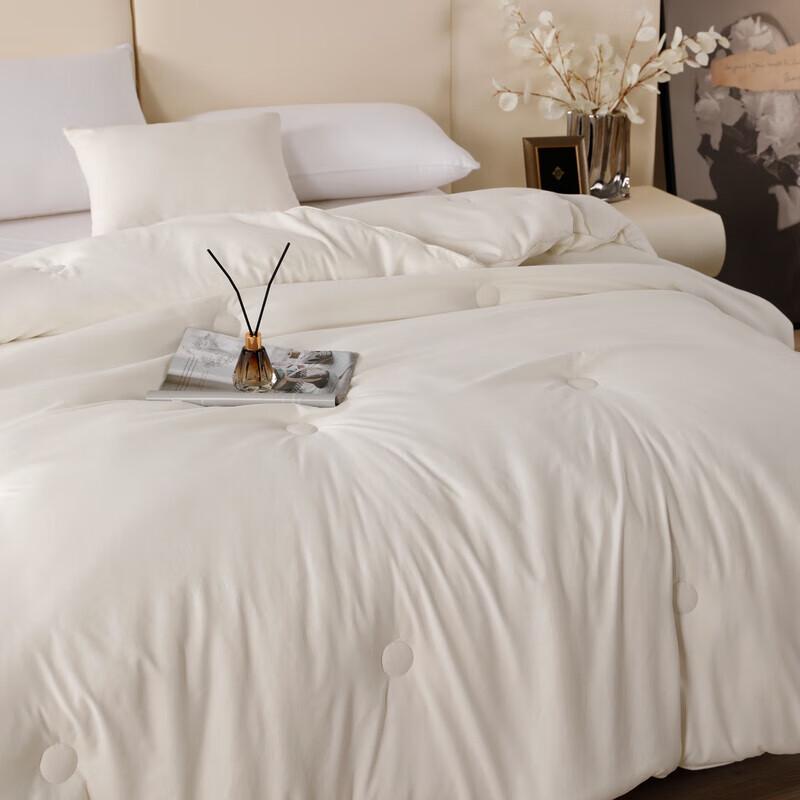 Fangwang Soybean-Inspired All-Season Antibacterial Anti-mite Quilt