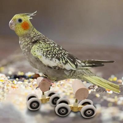 Mini Toy Parrot Roller Skates Double Row Pet Intelligence Training Supplies