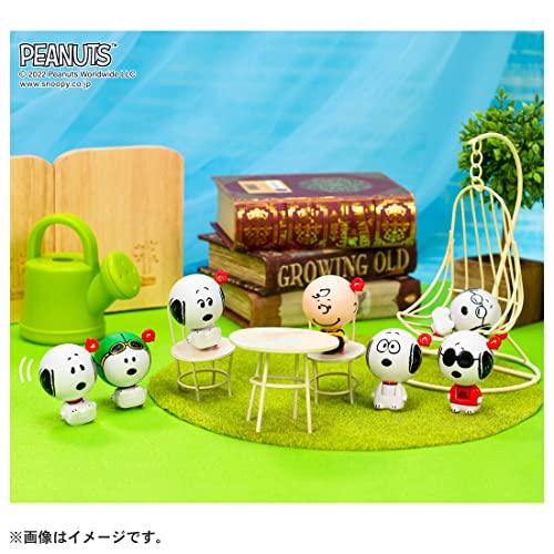 Spi Qun Snoopy & Charlie Brown Set