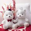 Newbies Bear Doll Dress Wedding Doll Plush Toys Pair of Ornaments Dolls Pressing Bed Wedding Gift