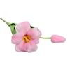 Branch - Pink Foam Tulip 53 Cm