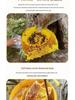 Yunnan Deep Mountain Wildflower Honey In Wooden Barrel