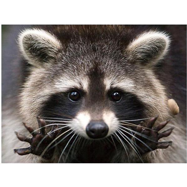 DIY 5D Diamond Painting Eye Butterfly Diamond Embroidery Cartoon Cross Stitch Rhinestone