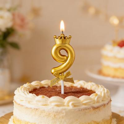 Number Cake Topper Candles 0-9 Cake Number Set Reusable Acrylic Cake Number Stand for Birthday Anniversary Milestone Celebrations