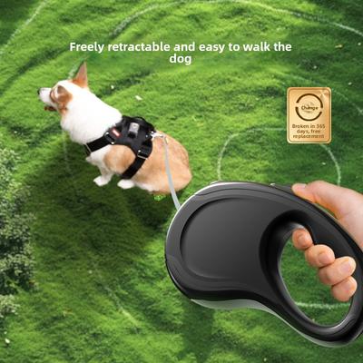 Cani – Collari e guinzagli per cani
