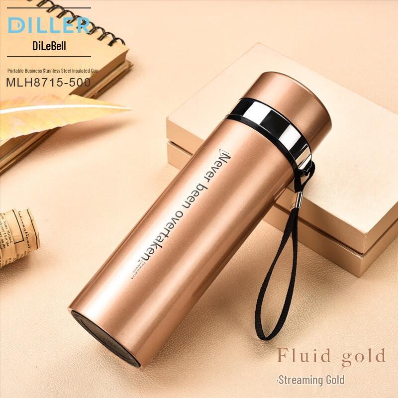 

Diller Portable Stainless Steel Thermos Bottle