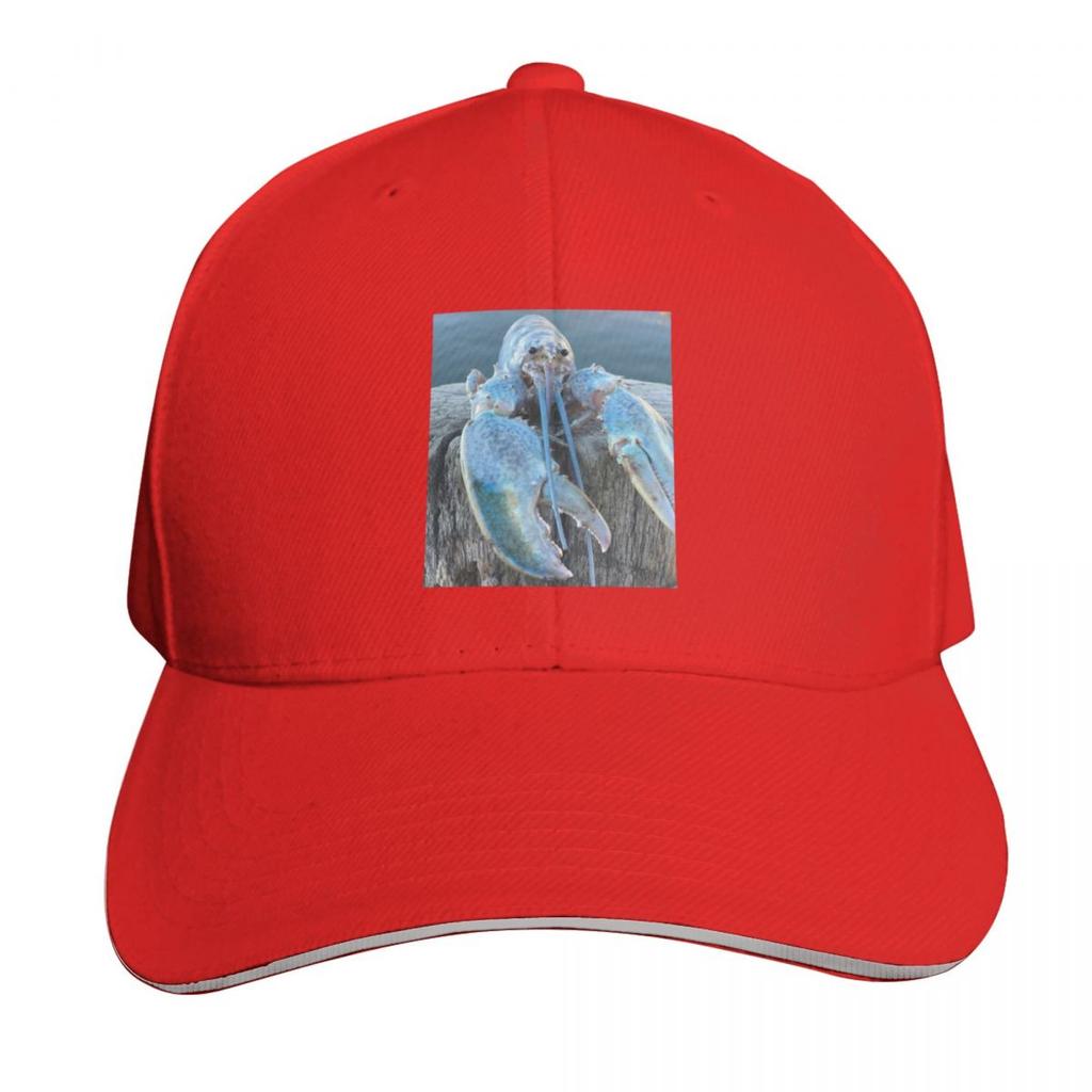 blue lobster jumpscare meme Baseball Cap Hat Beach Unisex hat Cosplay Icon Ladies Unisexs
