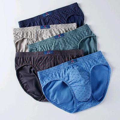 4 Stück Herren Slips Baumwolle Unterwäsche Unterteil Mode Unterhosen Mann Unterhosen Bequeme Slips Große Größe L XL XXL 3XL 4XL 5XL 6XL 7XL