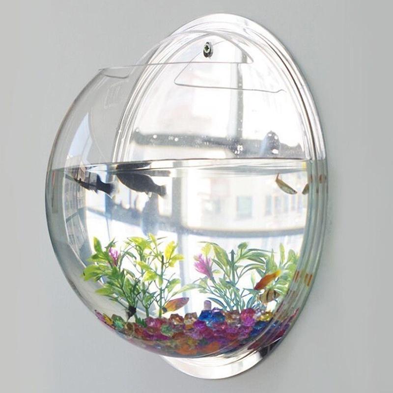 globe fish tank