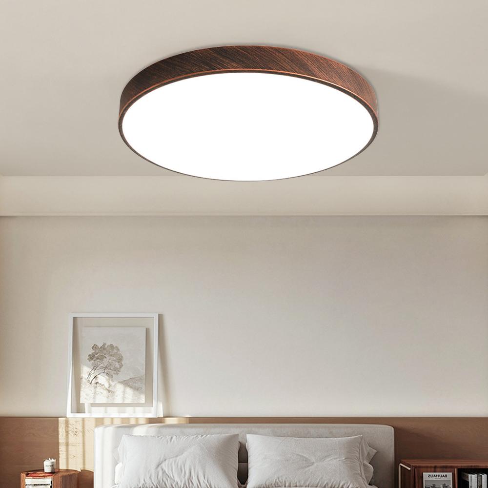 Lampada da Soffitto LED Nordica Ruggine Per Soggiorno Ingresso Camera da Letto Corridoio Balcone Ripostiglio Apparecchi di Illuminazione Interna
