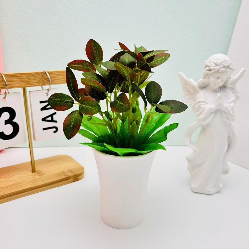 Pudica Schefflera Mimosa Octophylla Green Plant For Home Decor Tabletop