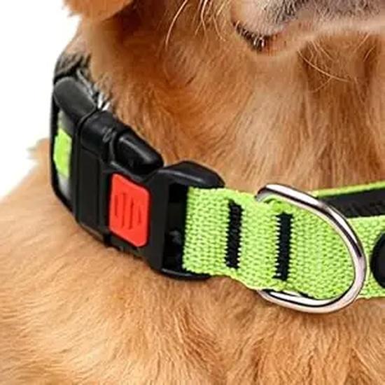 LED Dog Collar USB Rechargeable Light Up Pet Collar Glowing Nylon Adjustable Soft Night Safety Collar for Small Medium Dogs