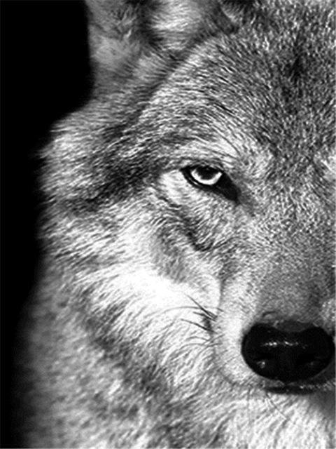 Broderie cu diamante 5D cu punct de cruce Wolf Diamond Art Painting Mozaic alb-negru Cadou lucrat manual