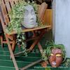Resin face head flower pot Resin wall-mounted flower pot Indoor room Outdoor garden Wall decoration