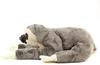 Calorata Two-Toed Sloth Plush Toy (Nestling SeriesSoft Touch) Realistic Animal Toy Doll Gift Present Birthday (Twice Tested)  Christmas Present