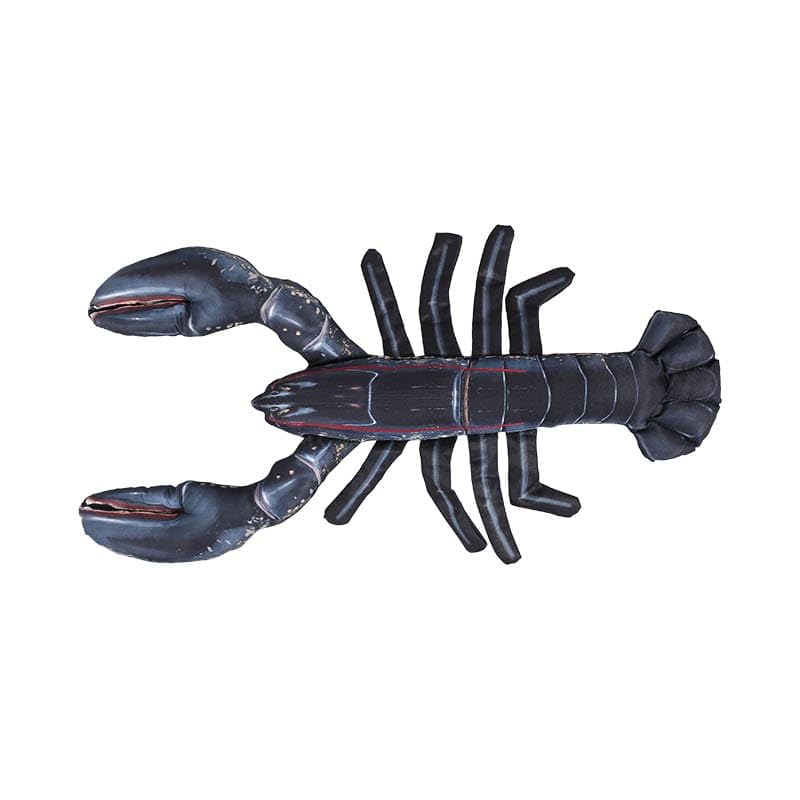 Dulton Fishes European Lobster 45 Fish Cushion for Everyday Life Large Body Pillow Marine Life Nordic gammarus FISHES Total Length 45cm