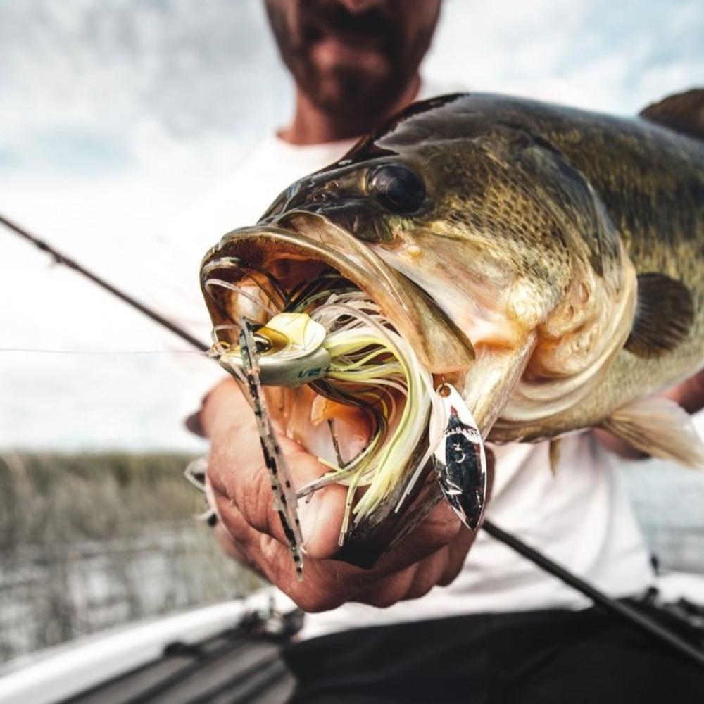Bass Pike Walleye Beard Fishing Lure Chatter Spinner Bait 2023 Buzzbait  Sea Fishing