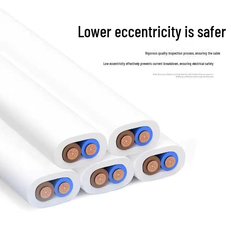 Chuanyang RVV Standard White Flat Sheathed Electrical Cable