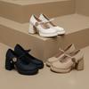 Damen High Heels dicke Absätze Frühling 2025 neues Temperament einzelne Schuhe leichter Mund vielseitiger Wortriemen französische Mary Jane Schuhe