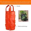 1Pc  Hanging Planting Bag For Aerial Gardening, 3-Gallon Strawberry Specific Hanging Bag, Flower And Plant Basket Growth Bag