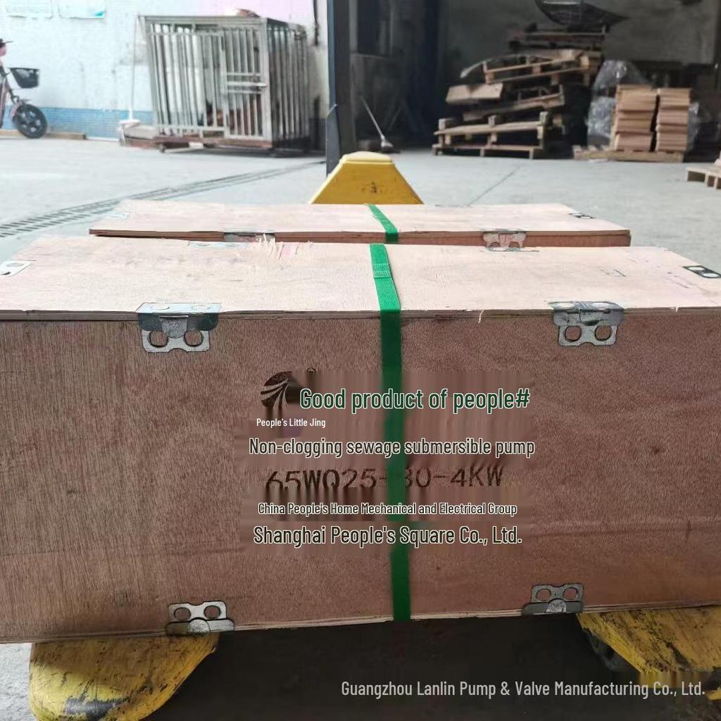 65WQ25-30 Non-Clogging 4kW Submersible Sewage Discharge Electric Pump