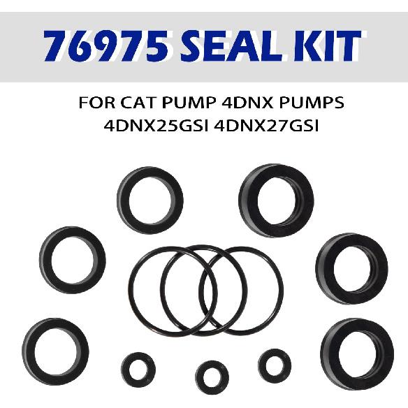 12 PCS Replacement 76975 Seal Kit for 4DNX Pumps Fits for CAT 4DNX25GSI & 4DNX27GSI Pump